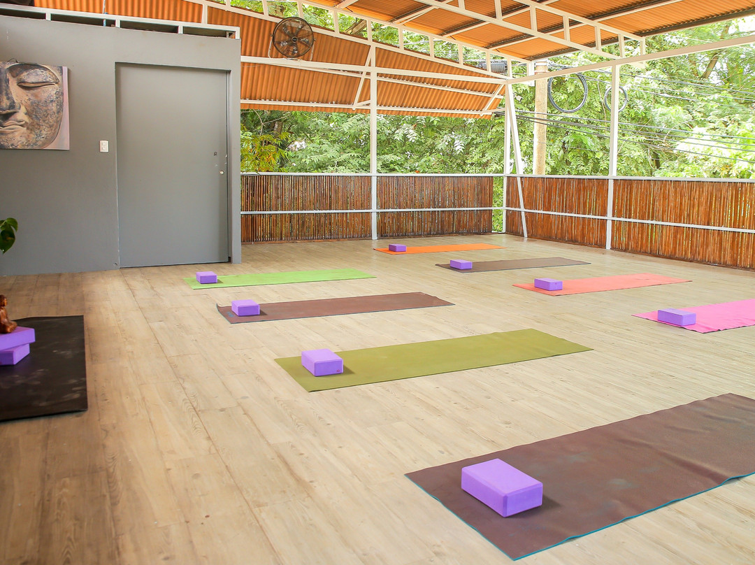 Costa Rica Yoga Center景点图片