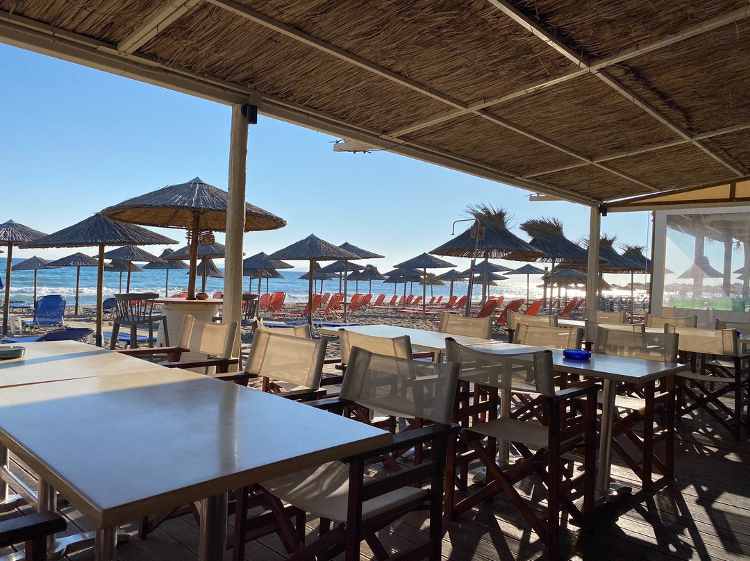 Tropical Hotel主图