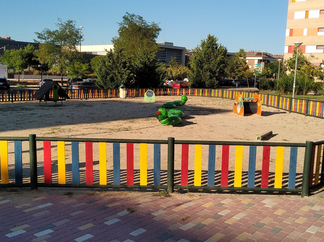 Parque Darwin-艾科坎必去景点