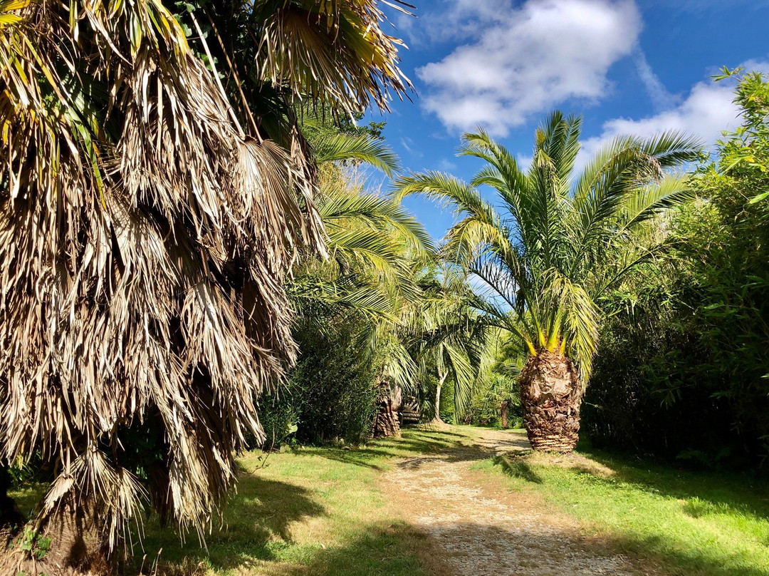 Jardin Exotique de Saint Renan景点图片
