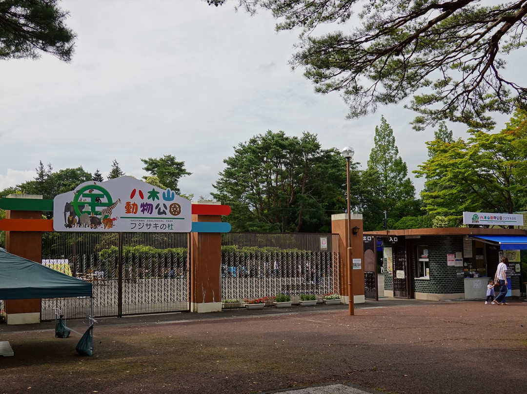 八木山动物公园景点图片