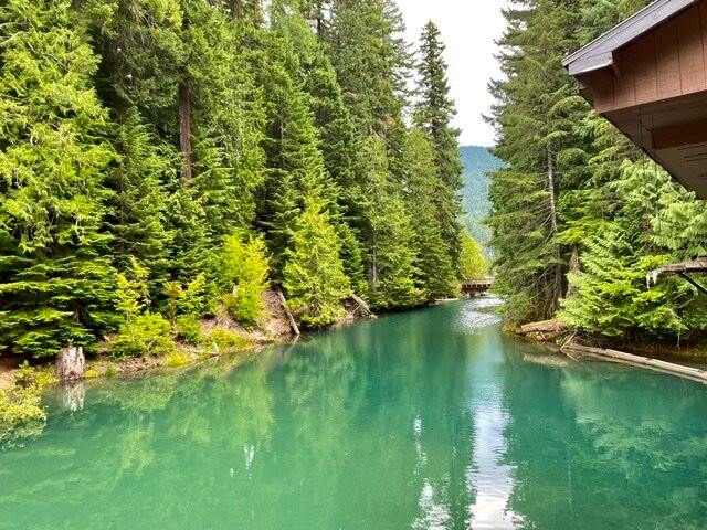 Packwood Lake Trail景点图片