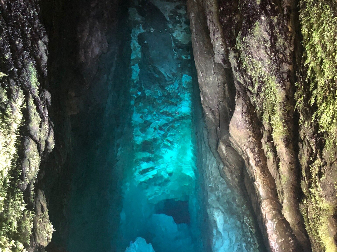 The Source of Soča River景点图片