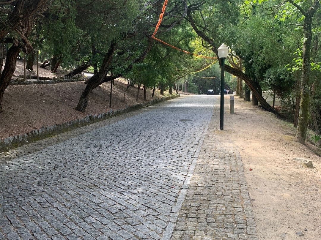 Parque La Salette景点图片
