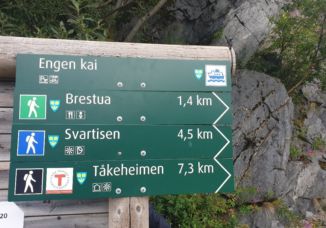 The Svartisen Glacier Austerdalsisen景点图片