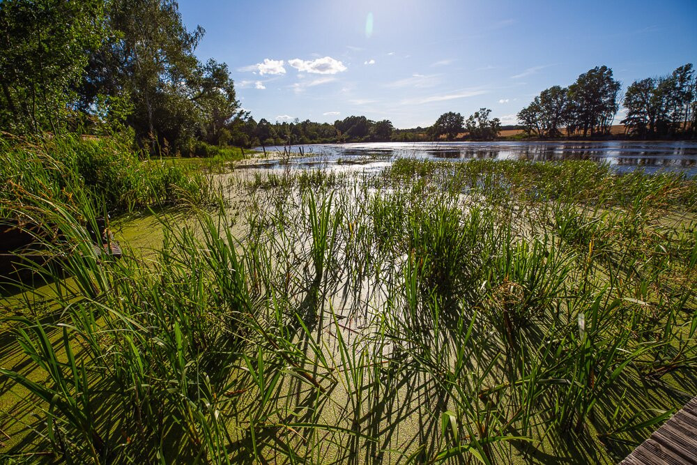 Chateau d'Alteville主图