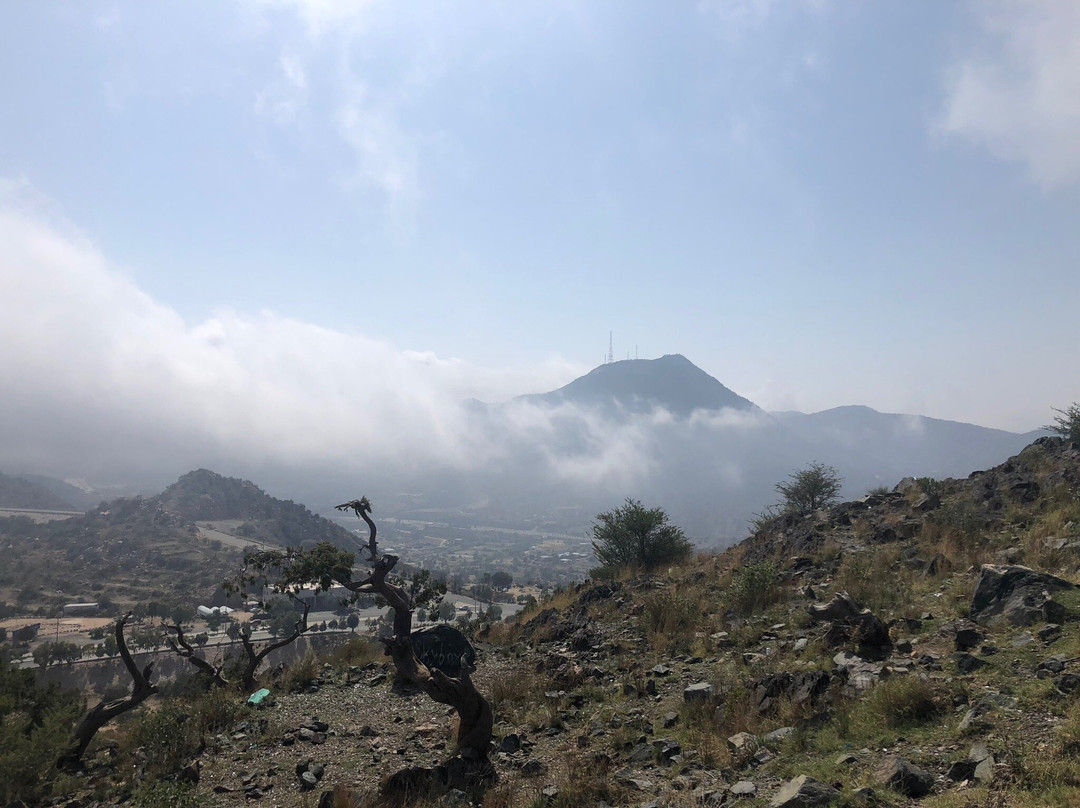 Shafa Mountains-Taif必去景点