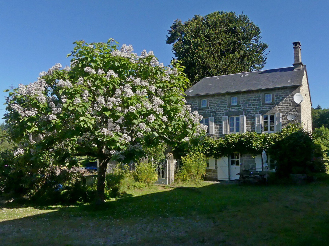 Les Quatre Saisons主图