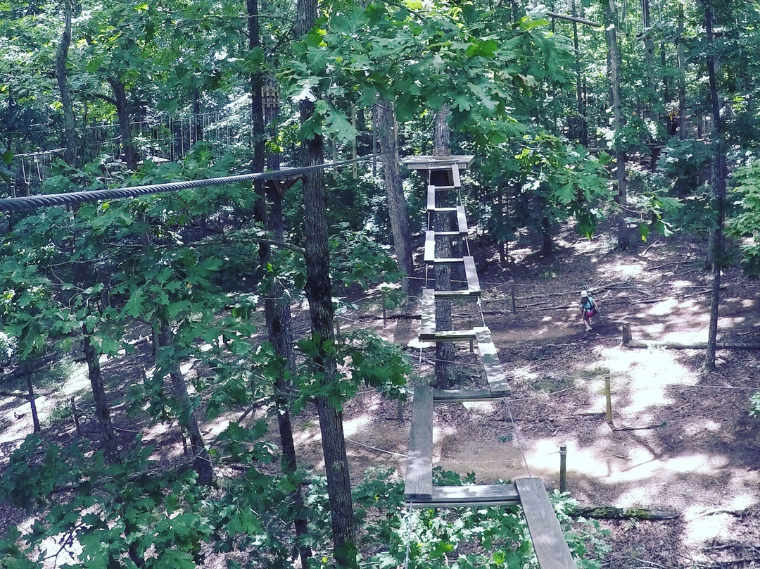 Canopy Challenge Course at Fall Creek Falls State Park-Fall Creek Falls State Park必去景点