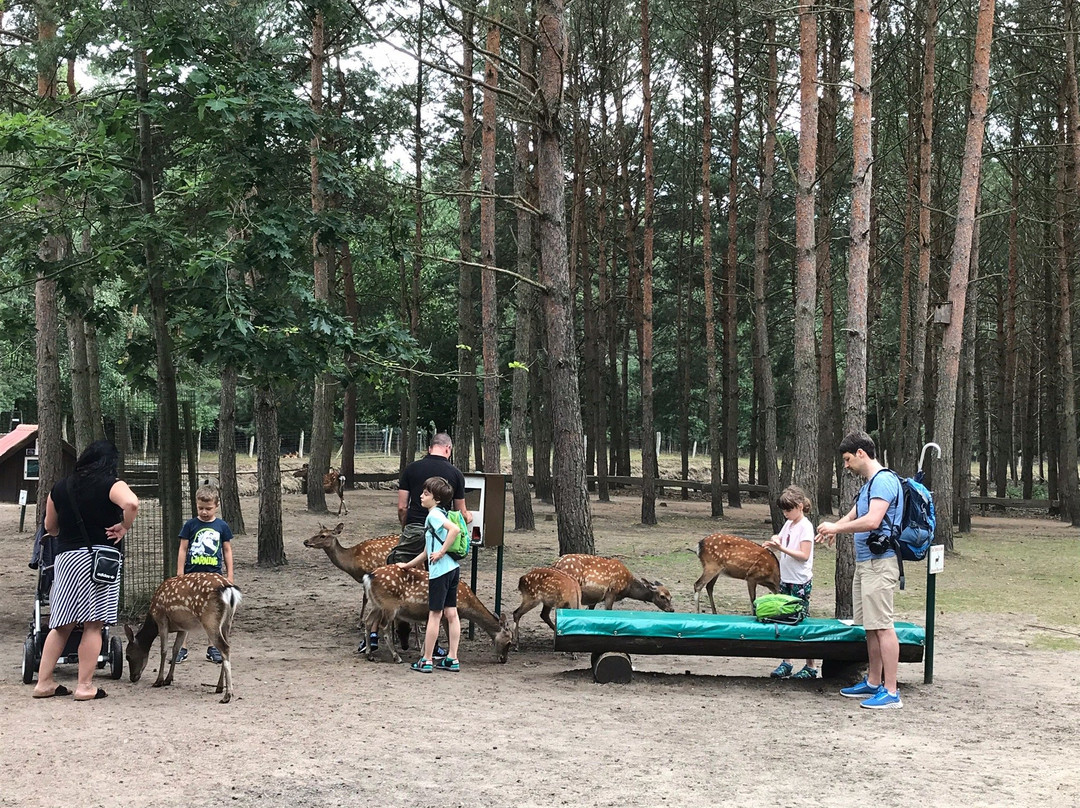Tier-, Freizeit- und Saurierpark Germendorf-奥拉宁堡必去景点