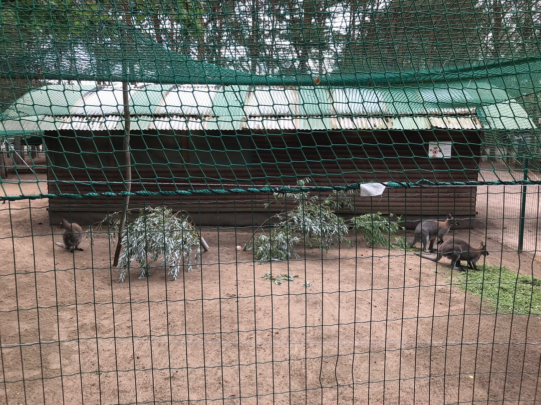 Tier-, Freizeit- und Saurierpark Germendorf-奥拉宁堡必去景点