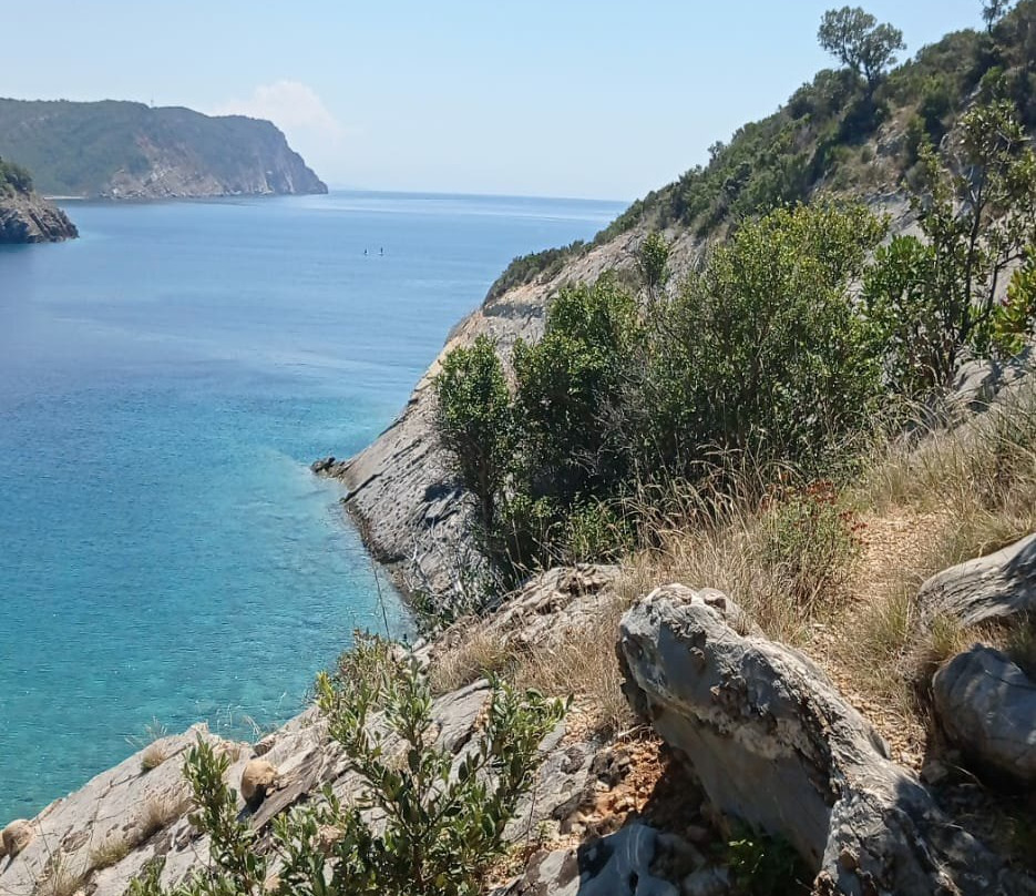 Apartaments Crown Silvia主图