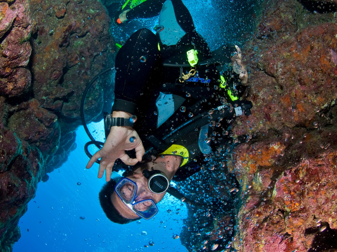 Fish & Friends Diving Centre-达哈卜必去景点