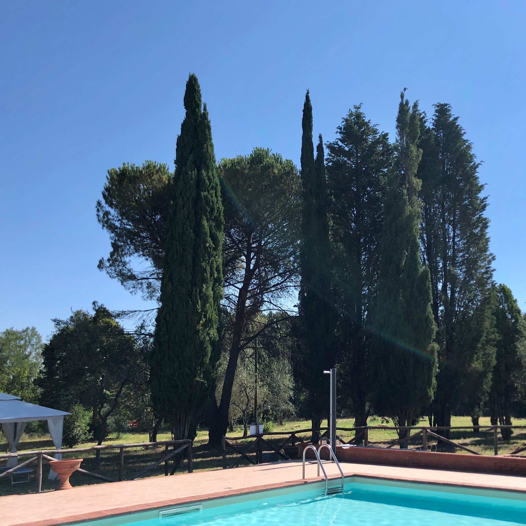 Casa D’ambra-官方