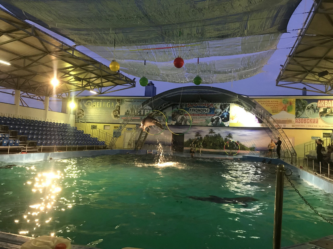 Azov Dolphinarium Nemo景点图片