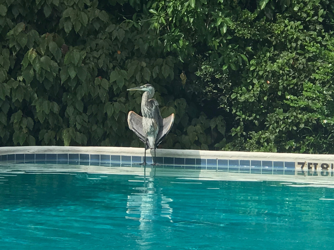 Manasota Beach Club主图