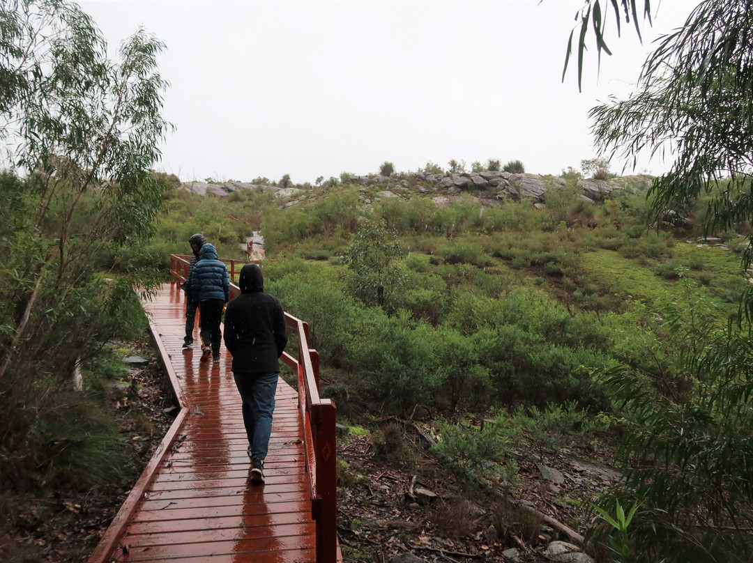 Mount Chudalup-Northcliffe必去景点