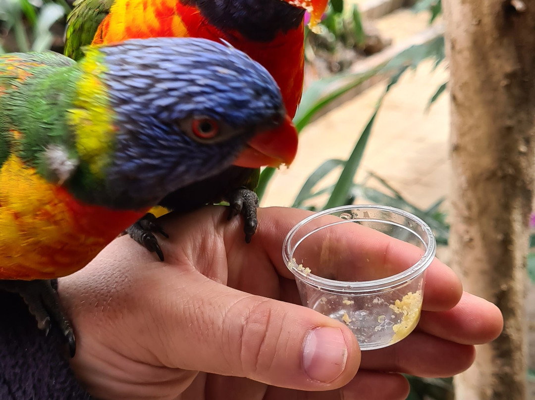 Texel Zoo-特塞尔必去景点