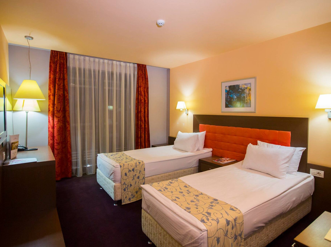 Park Hotel Romantica主图