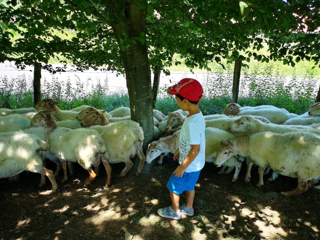 Basque Cooltour - Day Tours景点图片