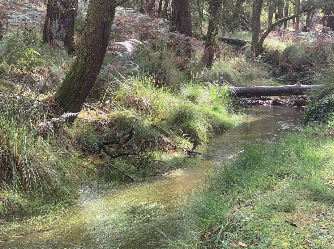 Lyonville Springs-Lyonville必去景点
