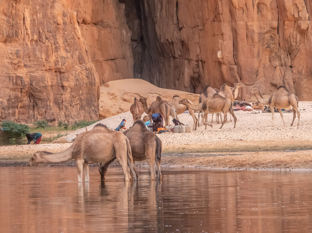 Guelta d'Archei-Fada必去景点
