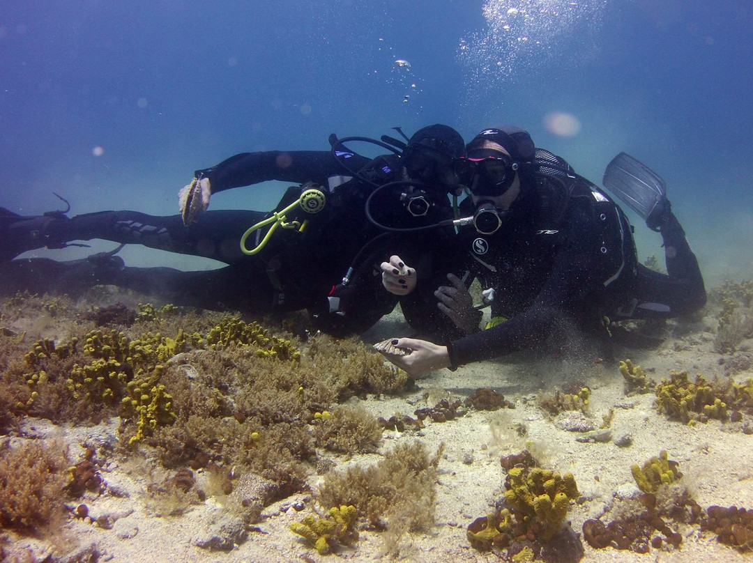 Poseidon Diving Center景点图片