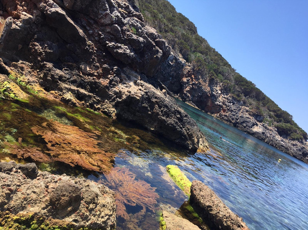 Cala Maestra-Giannutri Island必去景点