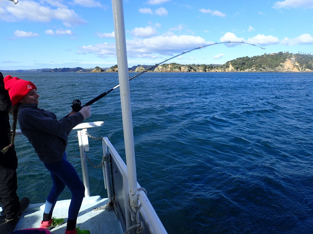 Fishing Waiheke - Day Tours-怀系奇岛必去景点