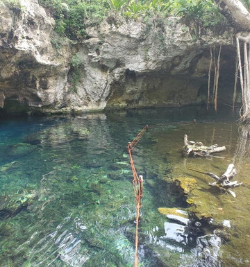 Avatar Adventures-图伦必去景点