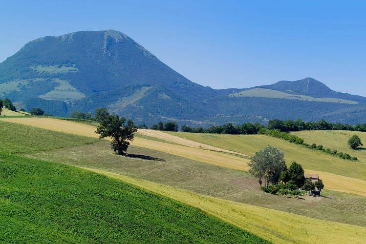 Monte San Vicino-Apiro必去景点