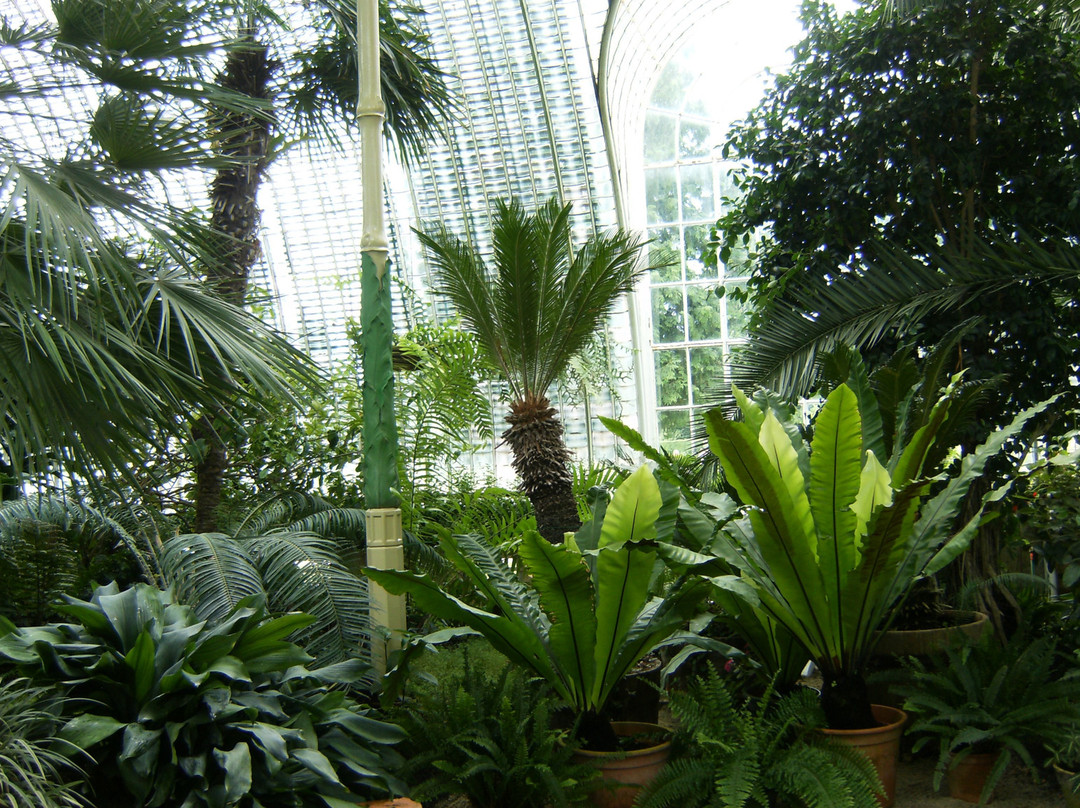 Castle Greenhouse-莱德尼采必去景点