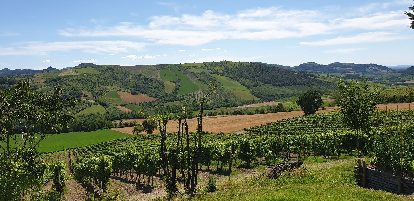 Agriturismo Cella di Montalto-官方