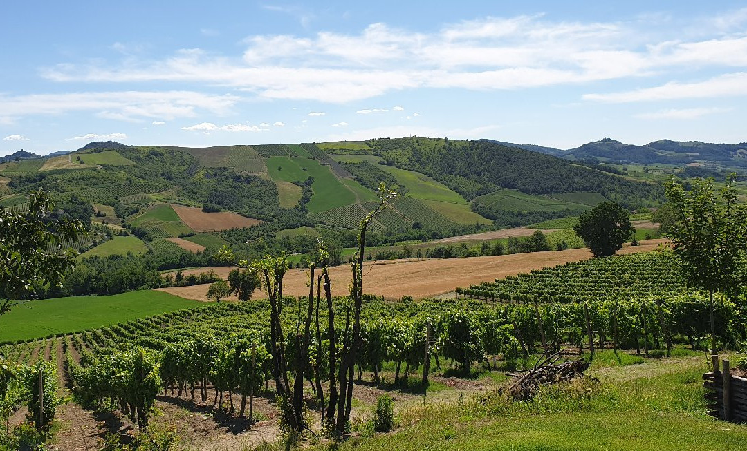 Agriturismo Cella di Montalto主图