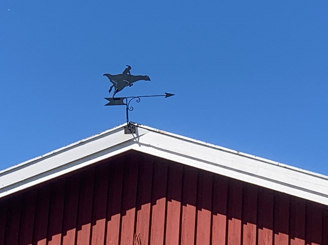 Ottsjö Fjällhotell主图