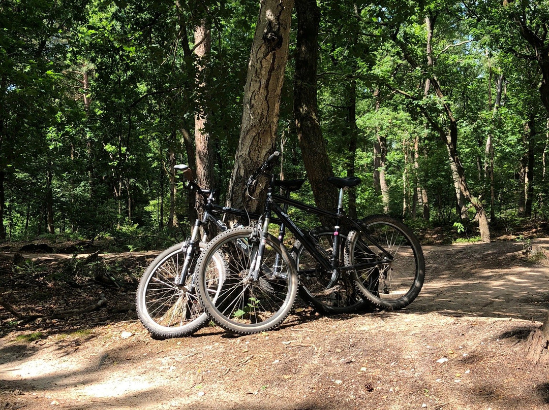 Mountainbike Verhuur Veenendaal景点图片