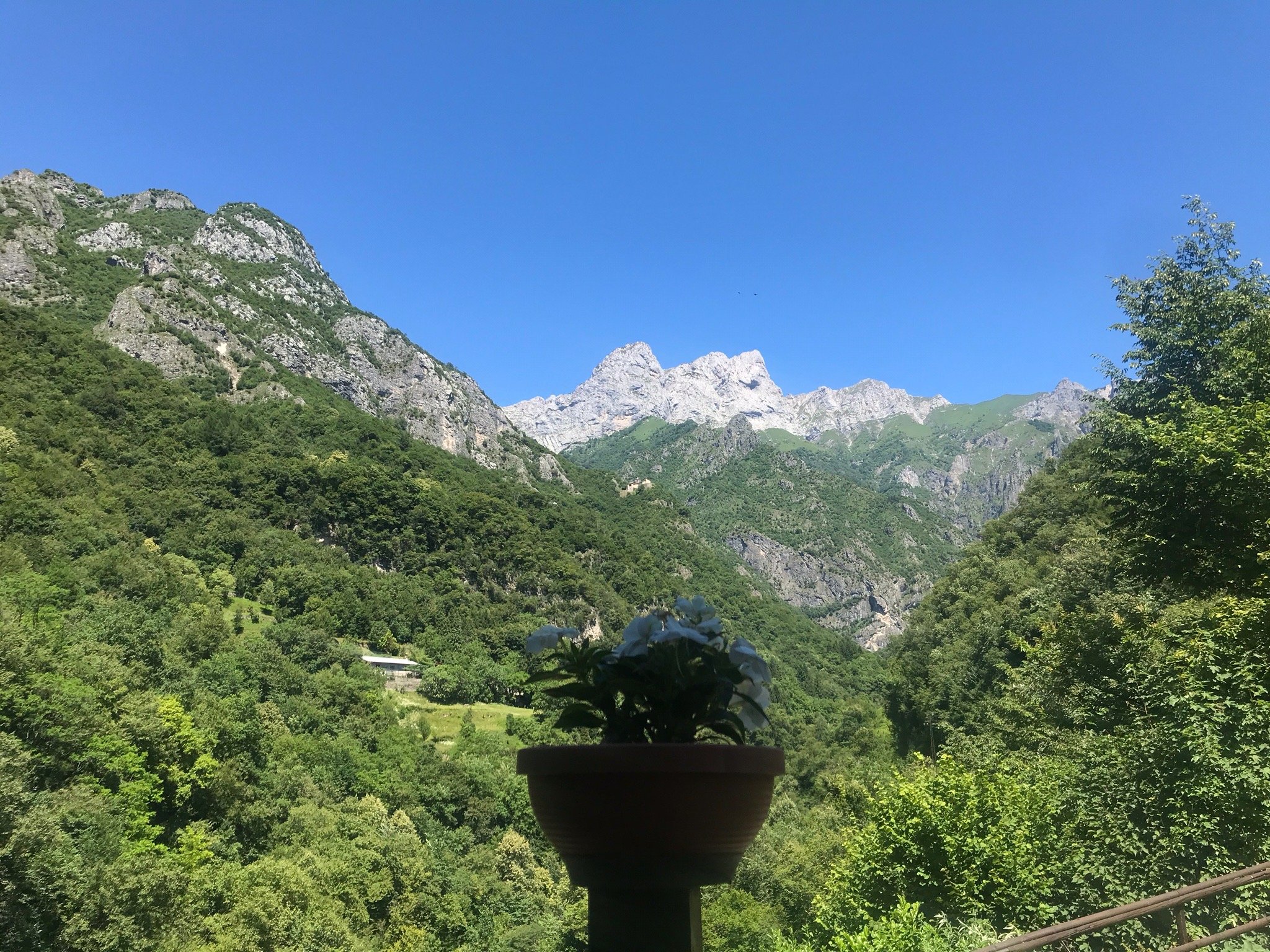 Al Verde-官方