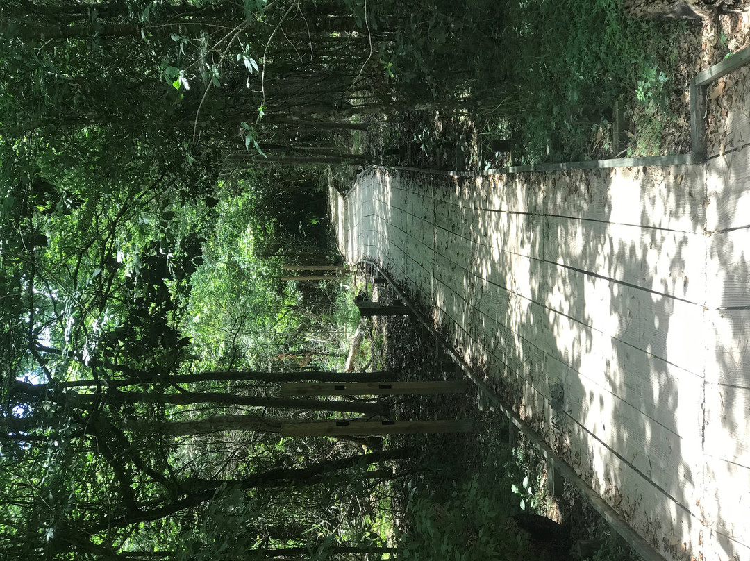 Northlake Nature Center-Mandeville必去景点