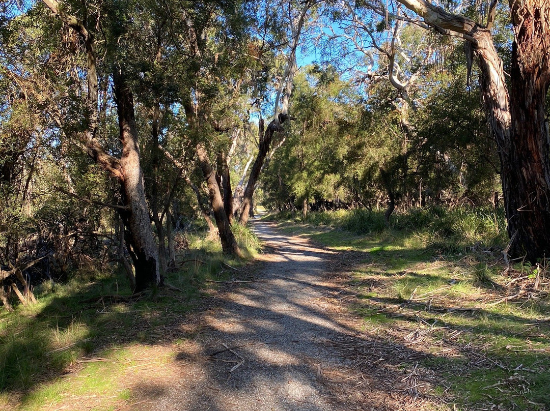 F Oswin Robert Koala Reserve-菲利普岛必去景点