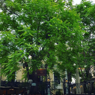 Dentro Sto Bar-塞萨洛尼基必去景点