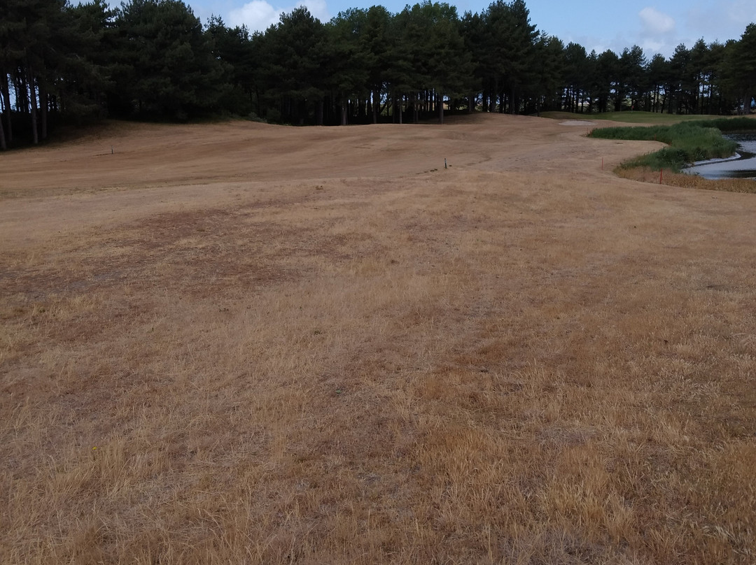 Golf de Belle Dune-Fort-Mahon-Plage必去景点