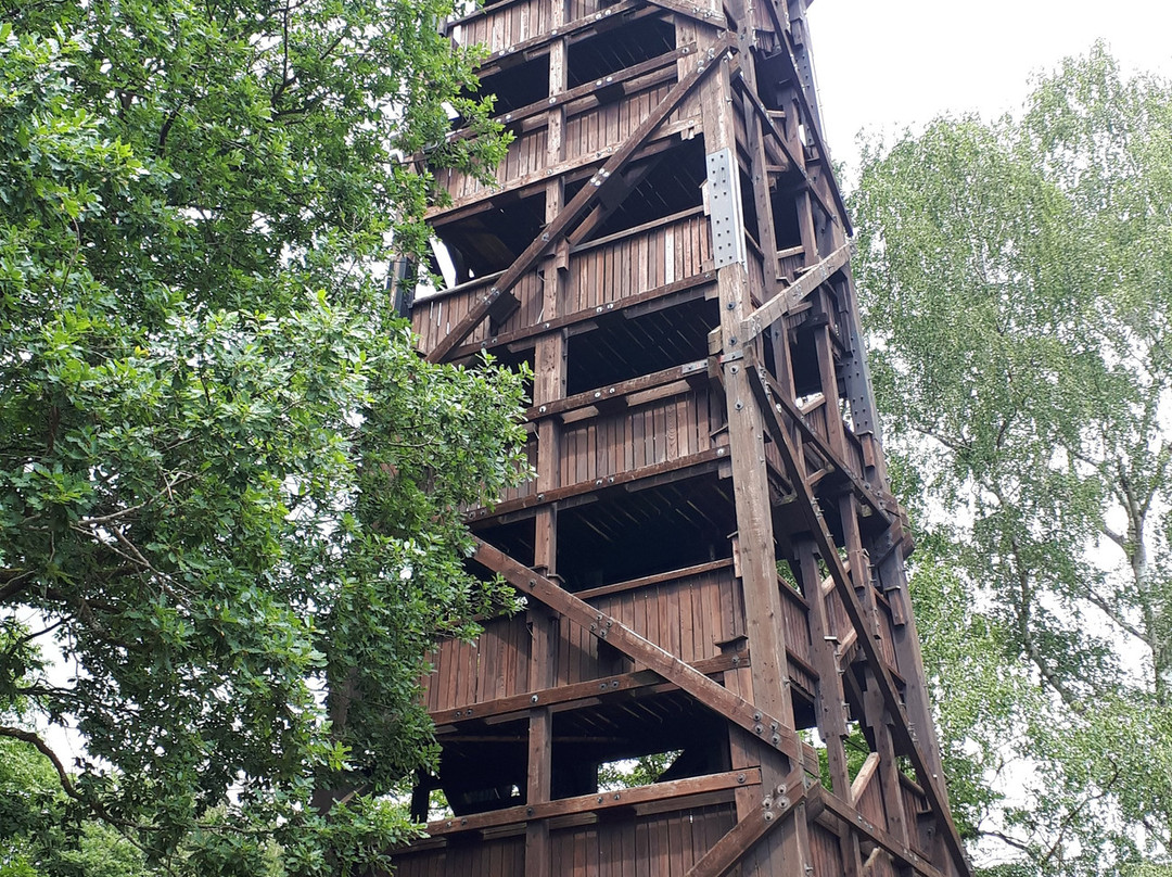 Hunburgturm景点图片
