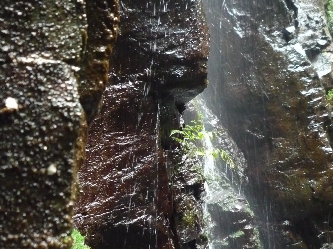 Madeira with Linda景点图片