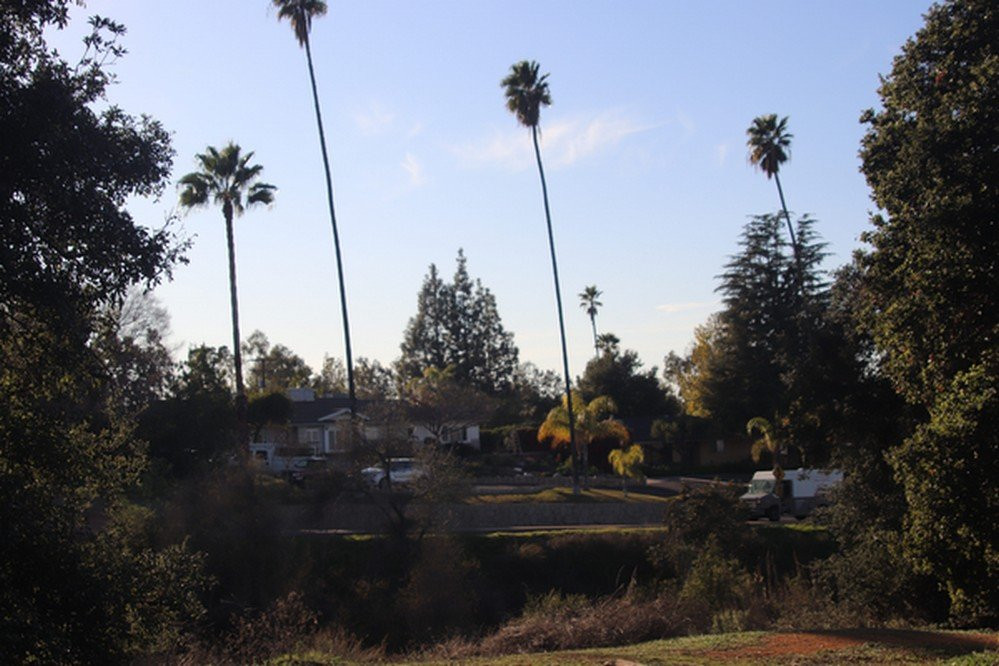 Caroline Park-雷德兰兹必去景点