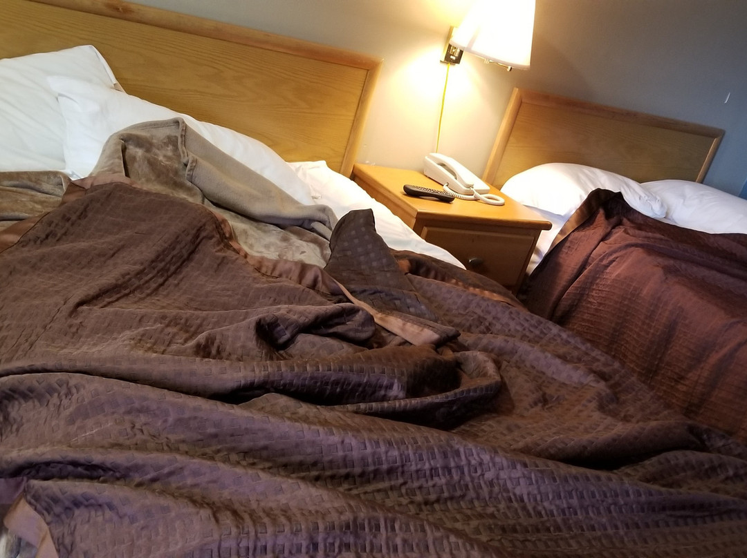 Sumner Motor Inn主图