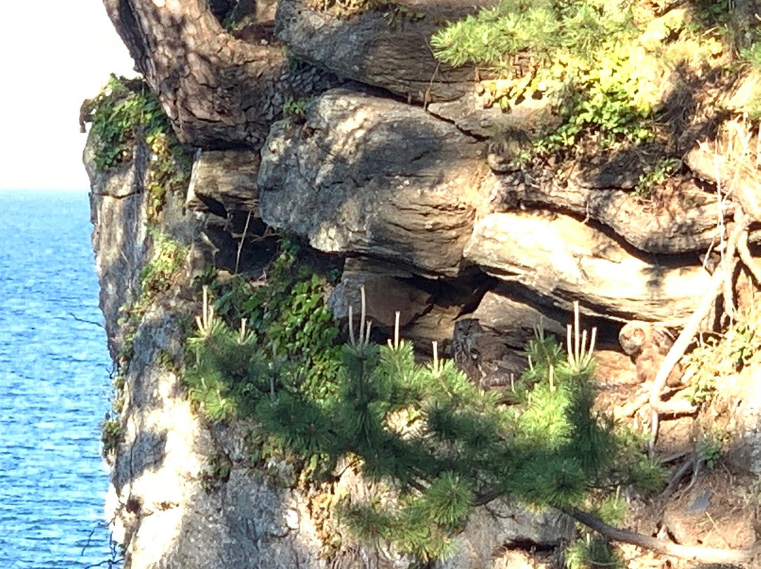 Uisangdae Pavilion景点图片