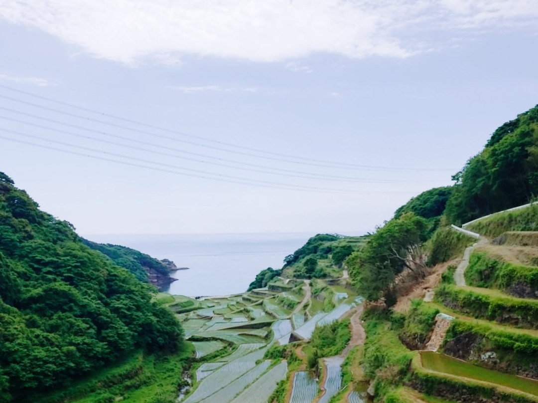 Hamanoura Rice Terrace景点图片