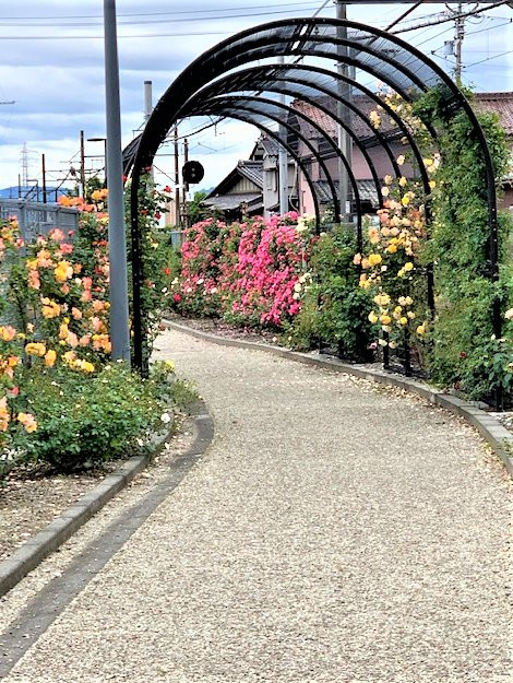 Godo Rose Park-神户町必去景点