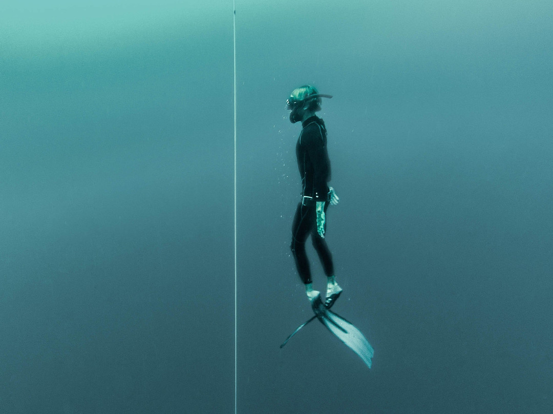 Fathom Freedive Bali-Bunutan必去景点