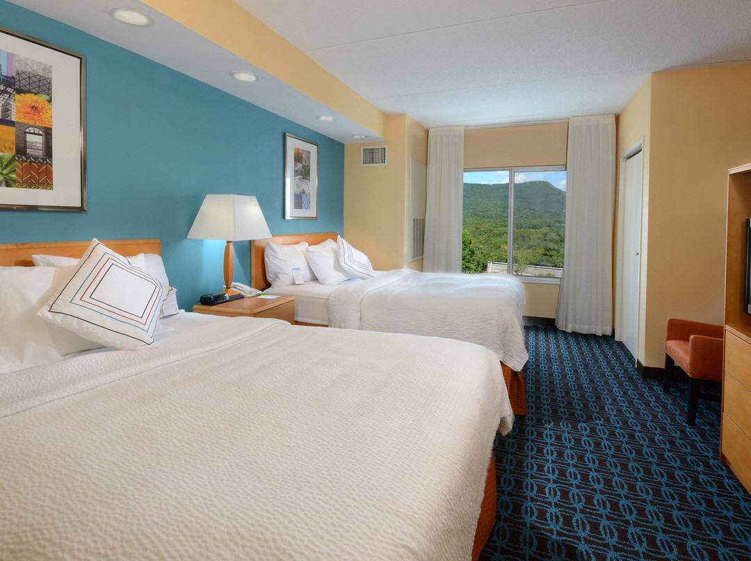Fairfield by Marriott Inn & Suites Roanoke Hollins/I-81主图